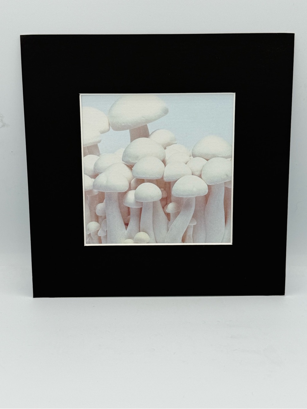 8”x8” Black Framed White Mushroom Art Print